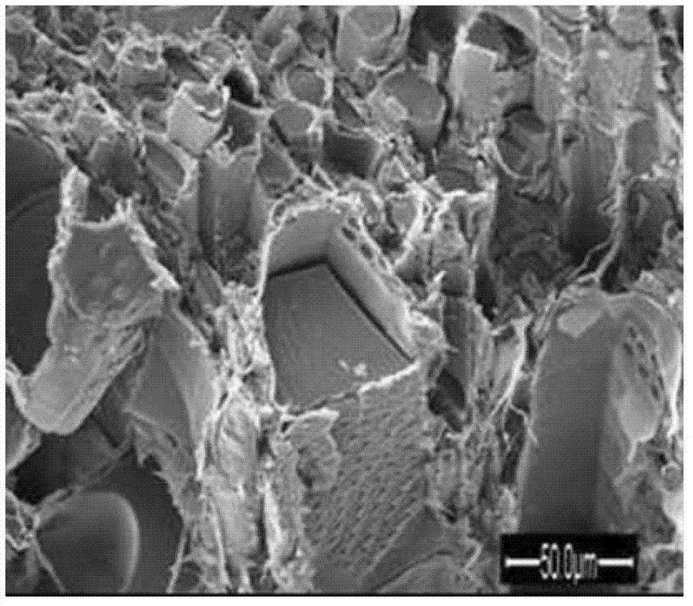 Preparation method of wood-organic-inorganic hybridized nano composite material based on doped nano POSS (Polyhedral Oligomeric Silsesquioxane)