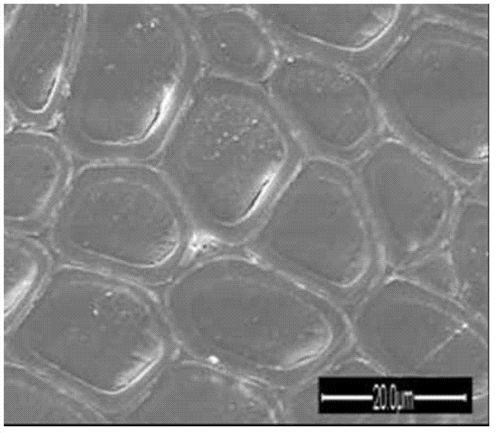 Preparation method of wood-organic-inorganic hybridized nano composite material based on doped nano POSS (Polyhedral Oligomeric Silsesquioxane)