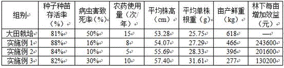 Under-forest planting method for panax stipuleanatus