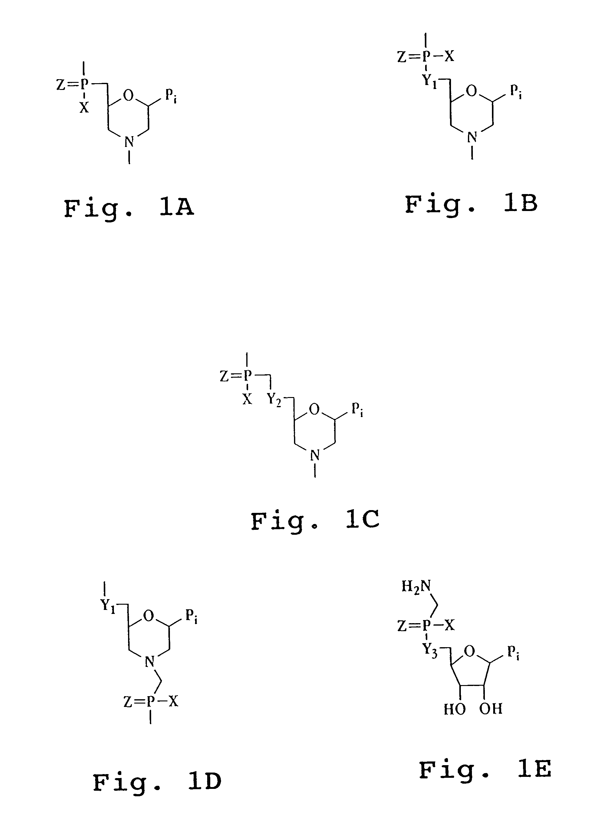 Antisense antiviral agent and method for treating ssRNA viral infection