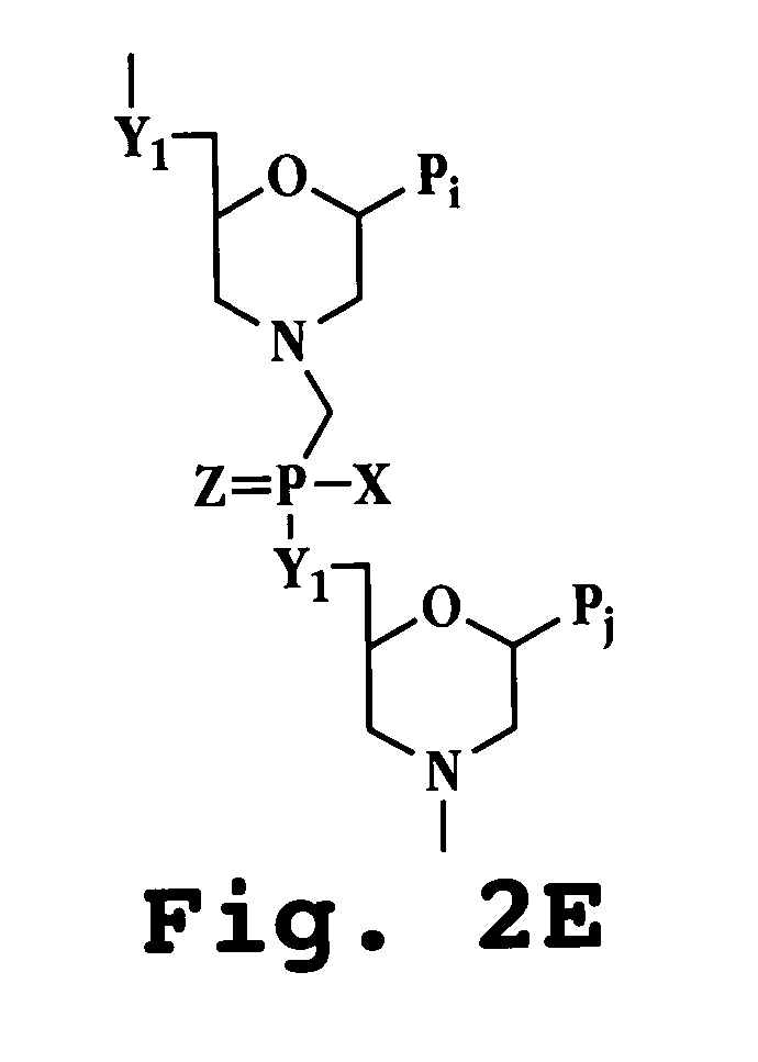 Antisense antiviral agent and method for treating ssRNA viral infection