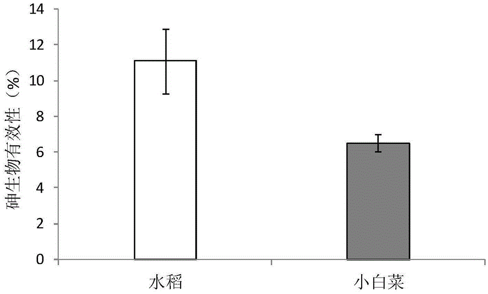 Combined evaluation model for bioavailability and toxicity of arsenic in foods on human body