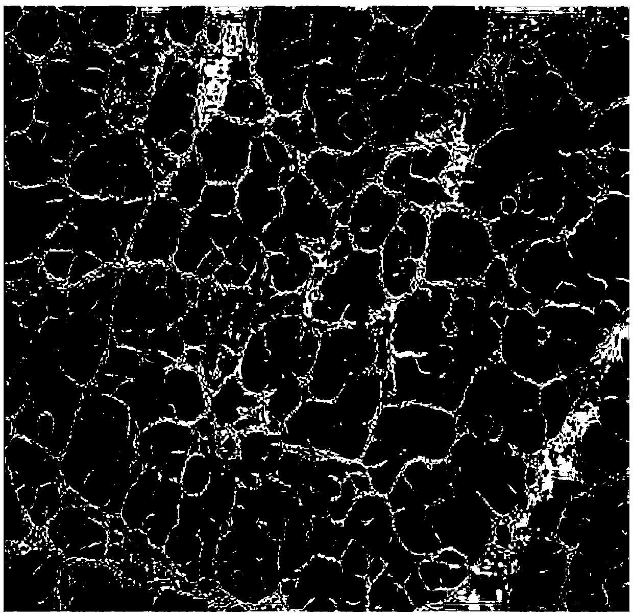 Application of pyrazolopyrimidine derivative for treating acute pancreatitis