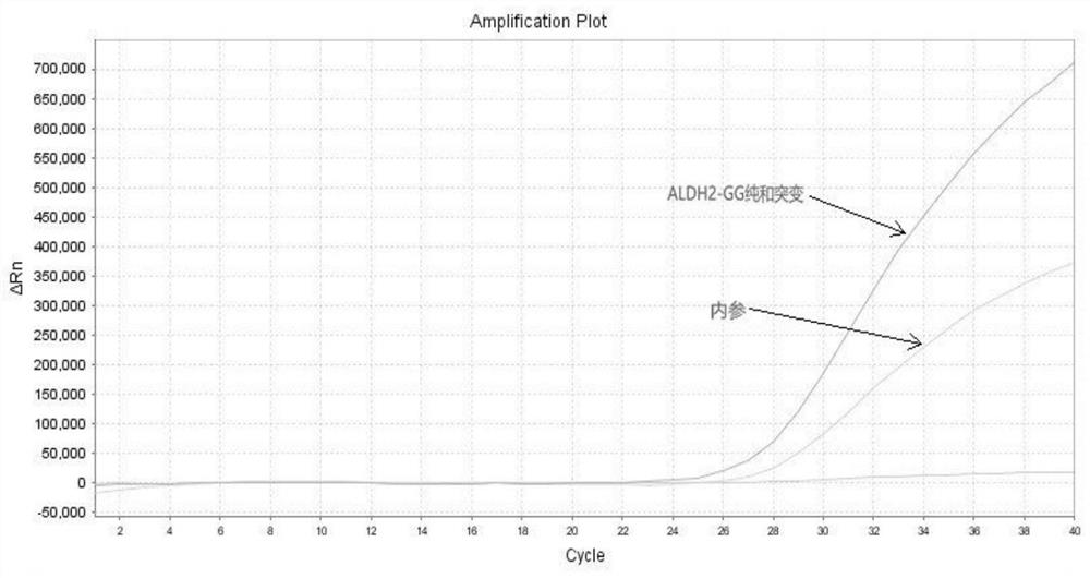 A gene detection kit free from nucleic acid purification