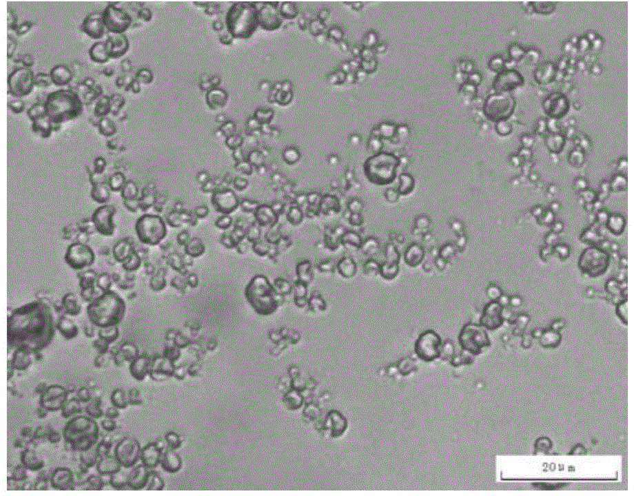 N-tetradecanol phase change microcapsule and preparation method thereof