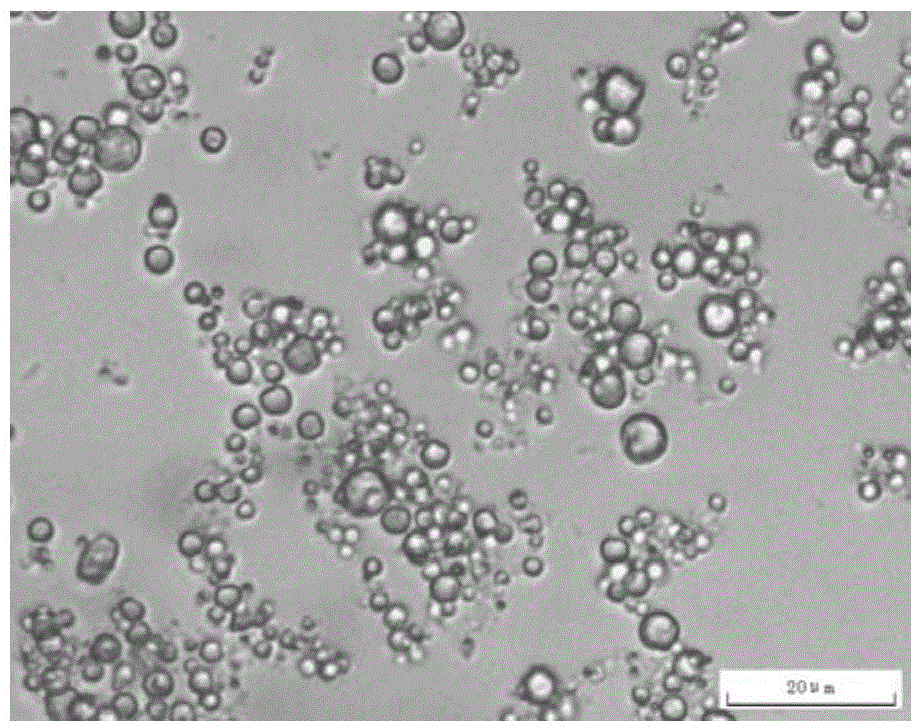 N-tetradecanol phase change microcapsule and preparation method thereof