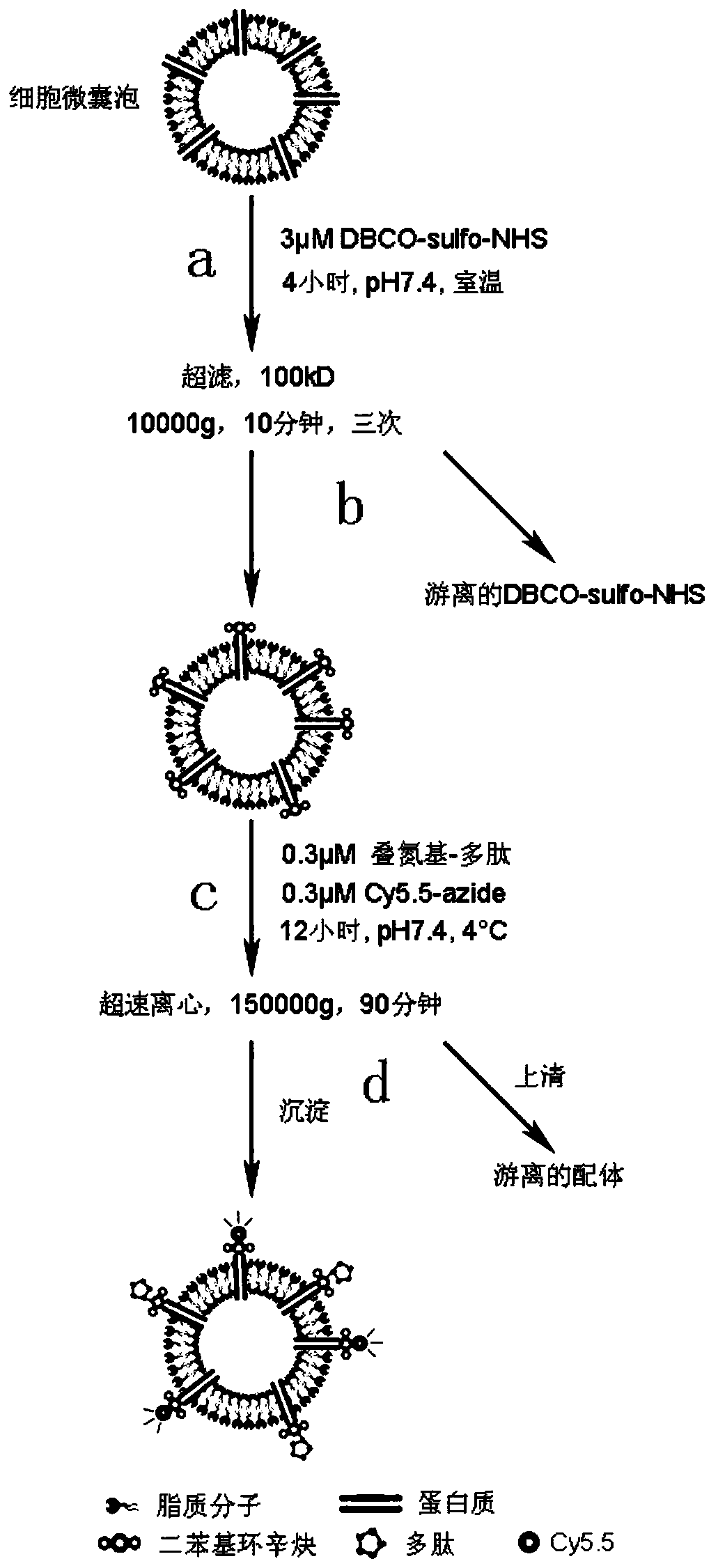 A method for modifying ligands on the surface of cell microvesicles