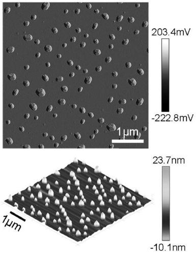 A method for modifying ligands on the surface of cell microvesicles