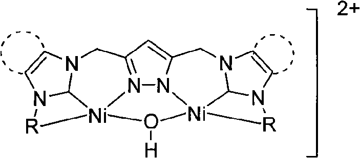 Dinuclear nickel cross-coupling reaction catalyst supported by nitrogen heterocycle carbine ligand and preparation method thereof