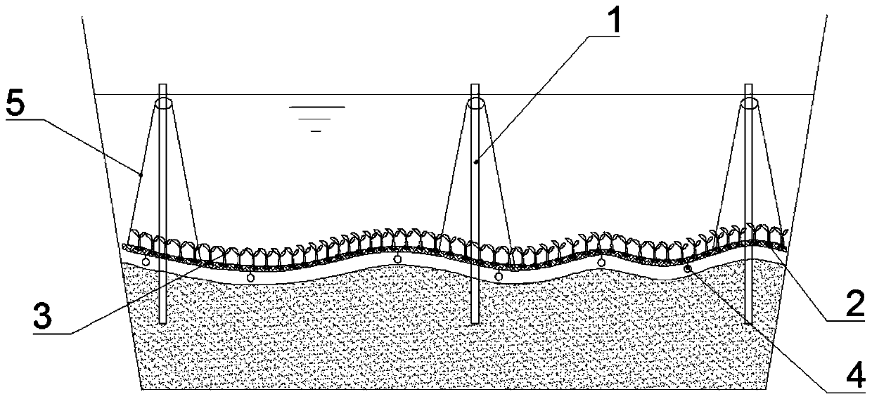 System and method for ecologically processing black and odorous water body