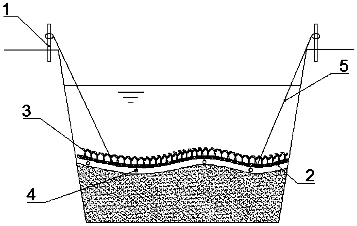 System and method for ecologically processing black and odorous water body