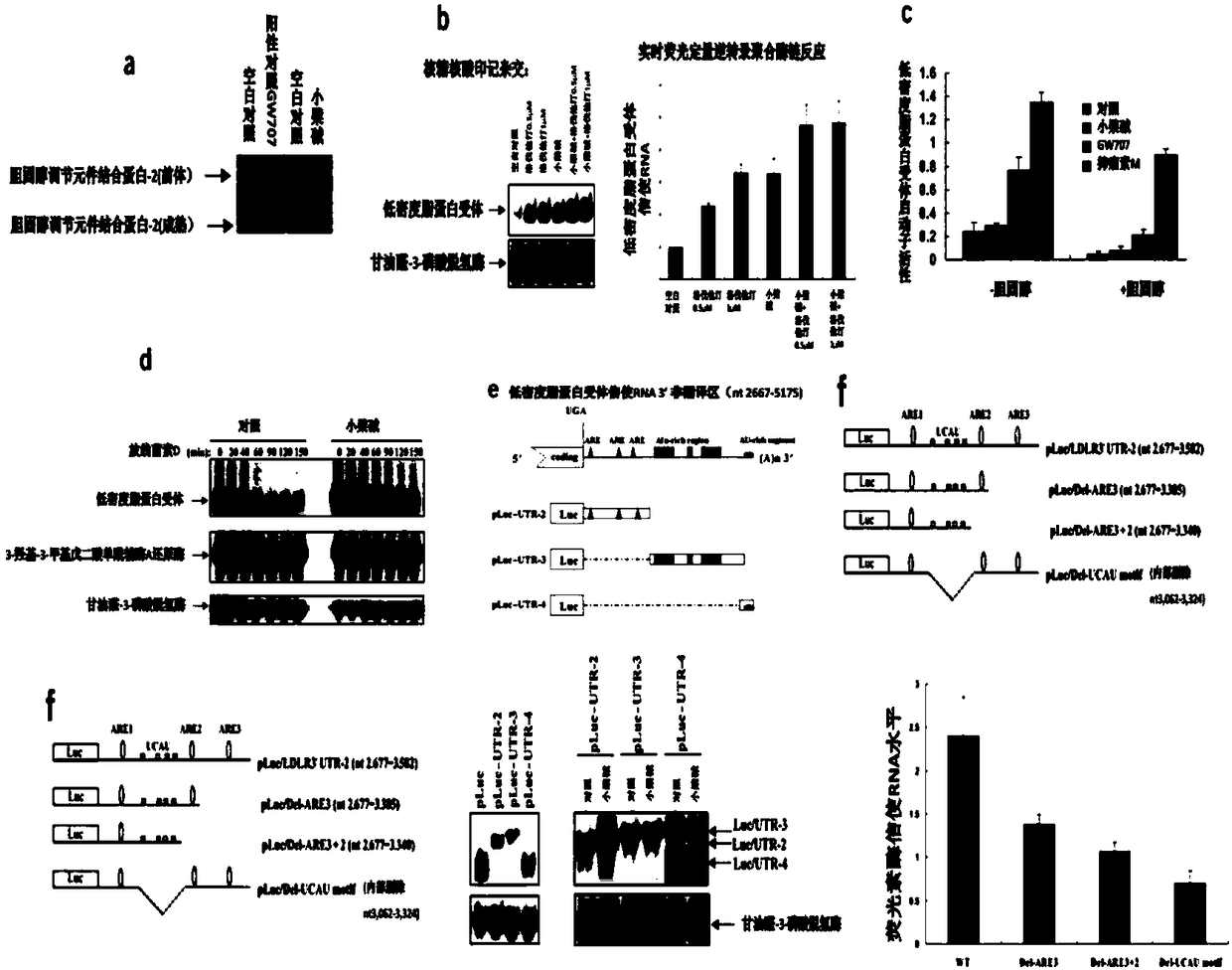 Berberine and berberine forming salt enteric micropellet, preparation and application thereof