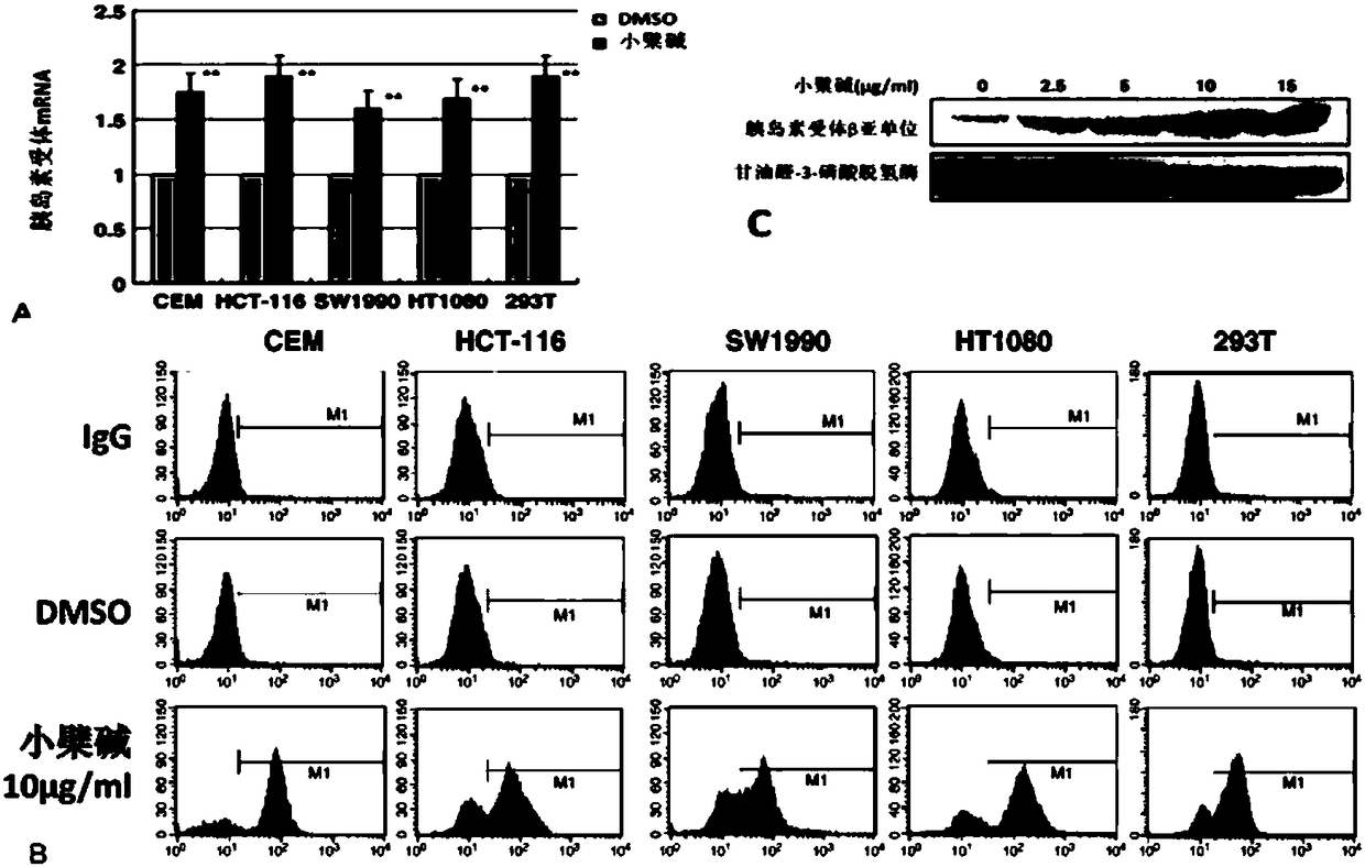 Berberine and berberine forming salt enteric micropellet, preparation and application thereof