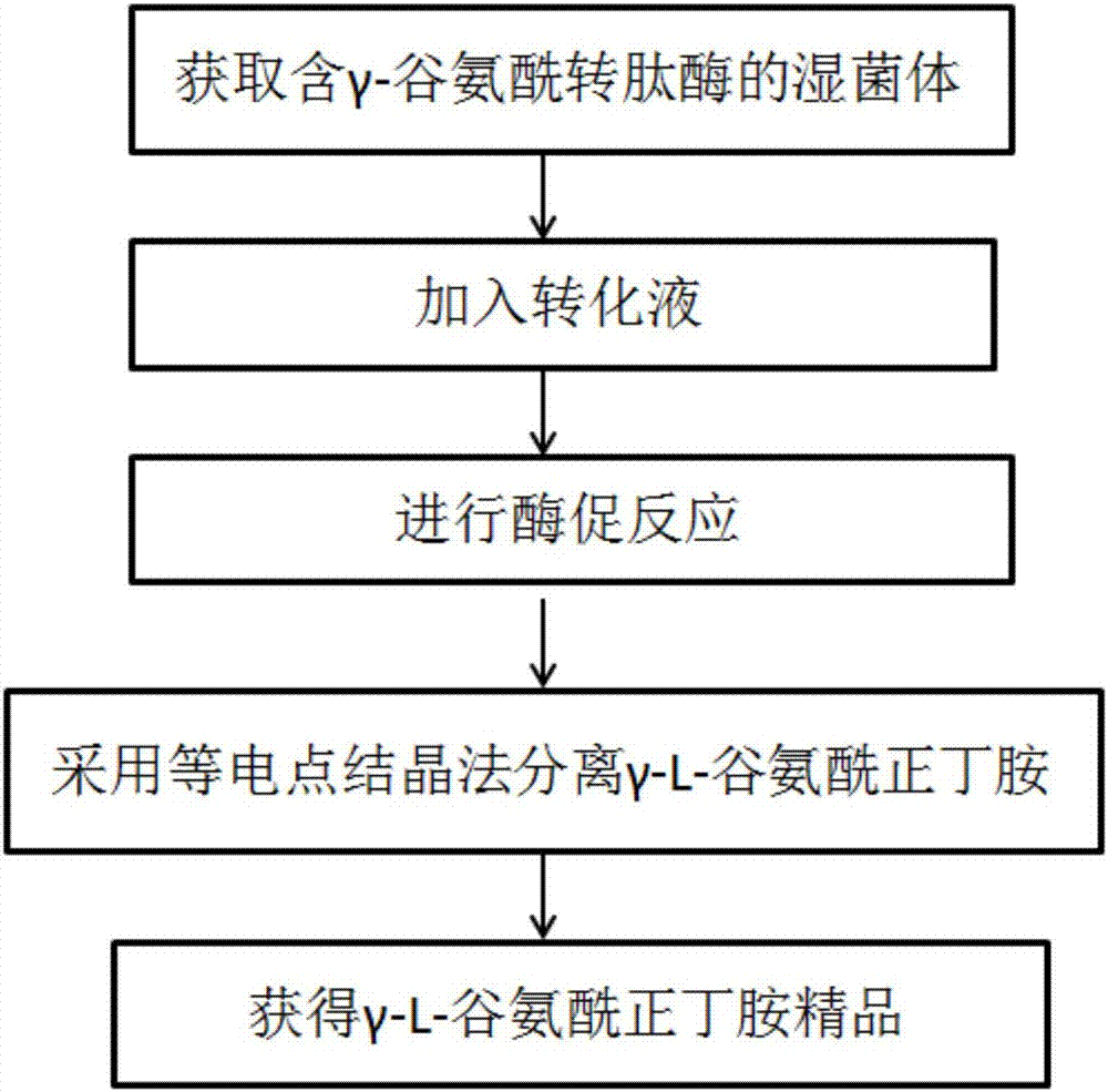 Enzymatic transformation preparation method of [gamma]-L-glutamyl n-butylamine