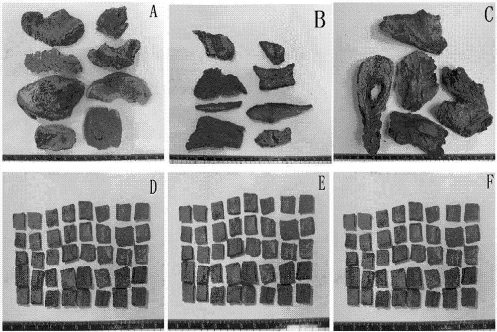 Preparation method for processing fixed-size granular decoction pieces by using fresh Chinese rhubarb