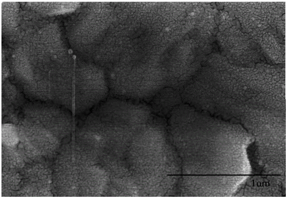 Annealing method for photo-anode of perovskite solar cell