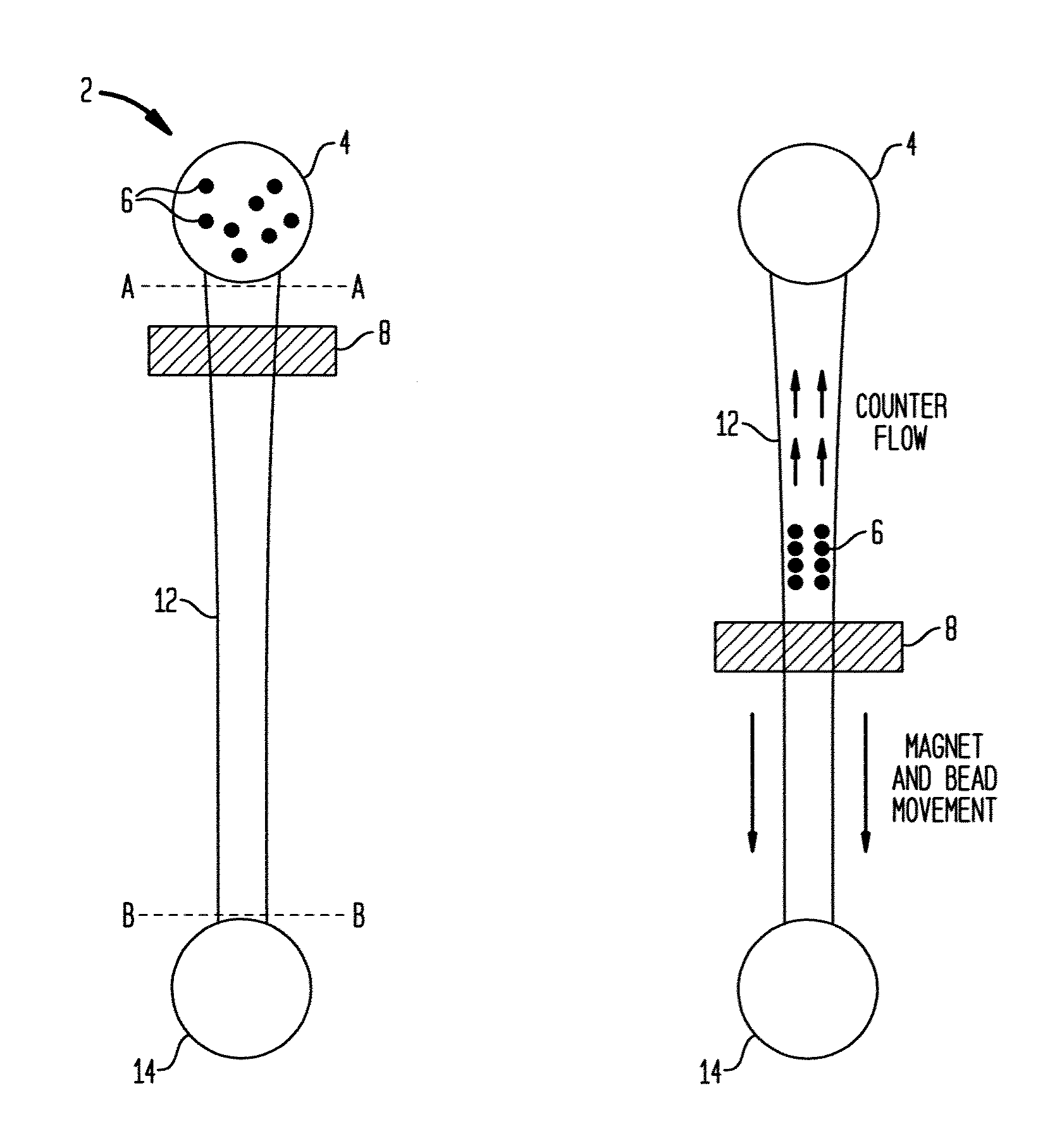 Magnetic bead separation apparatus and method