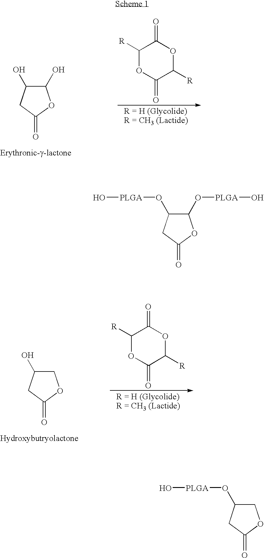 Lactone bearing absorbable polymers