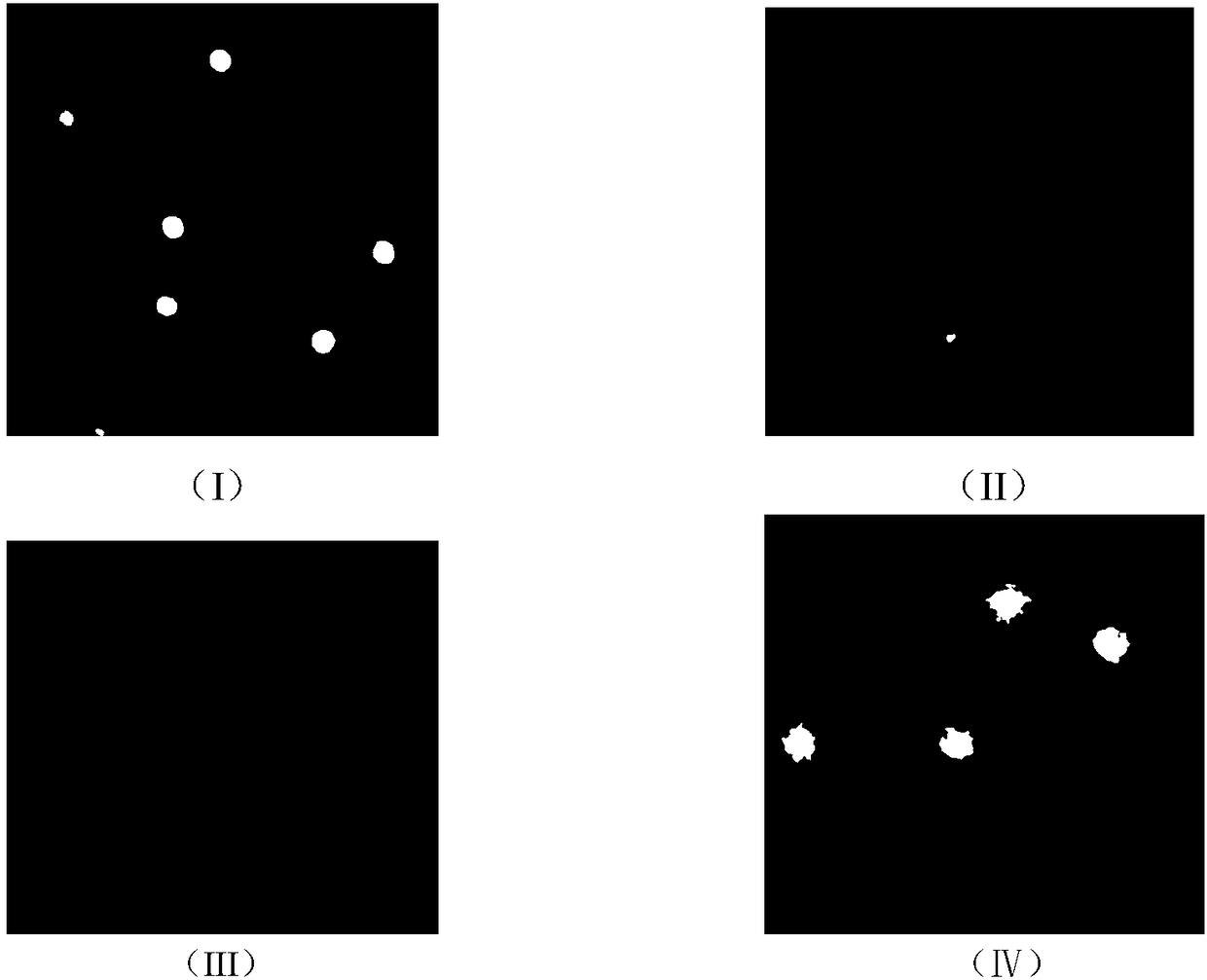 Bee pollen preparation and preparation method and application to preventing DNA oxidative damage