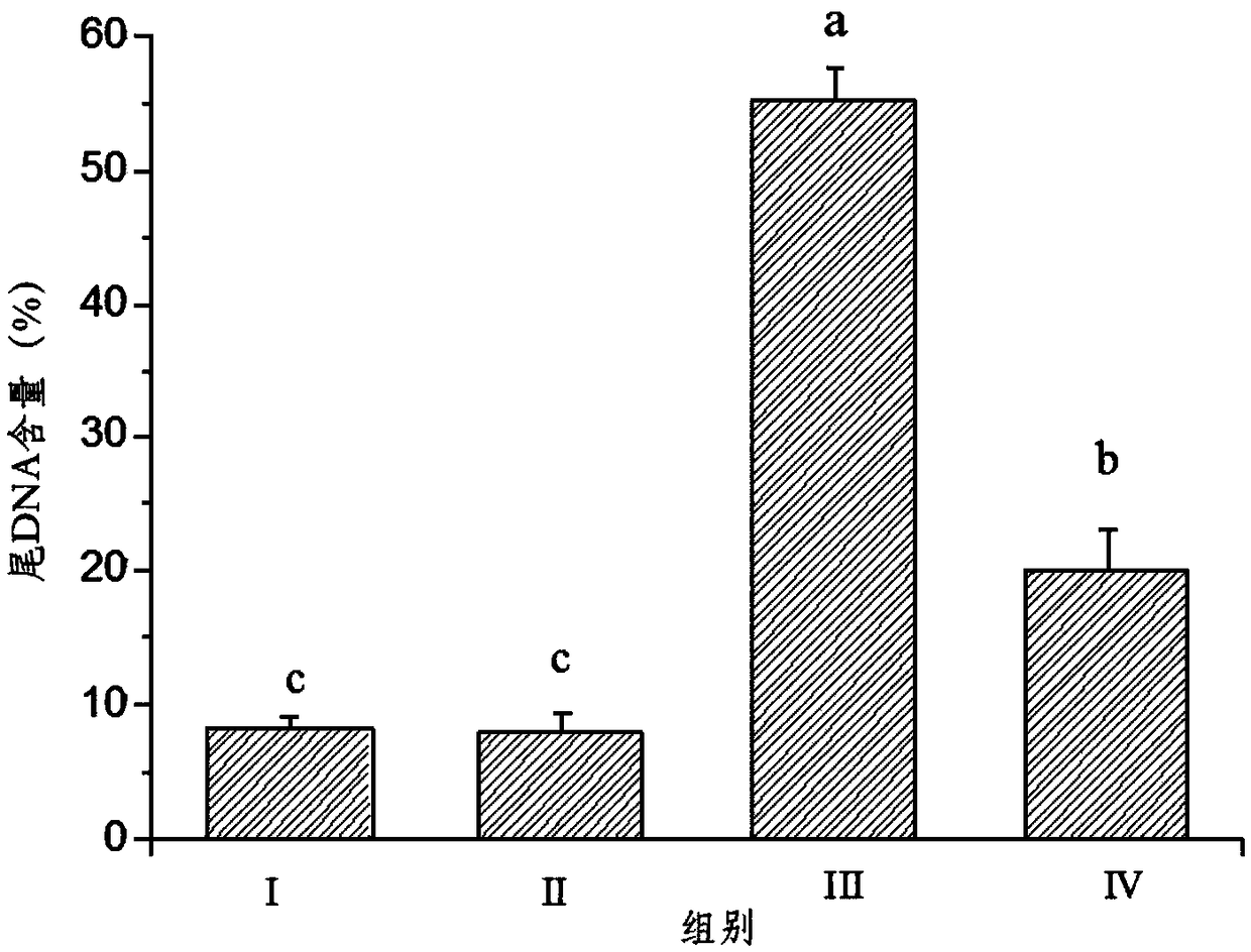 Bee pollen preparation and preparation method and application to preventing DNA oxidative damage