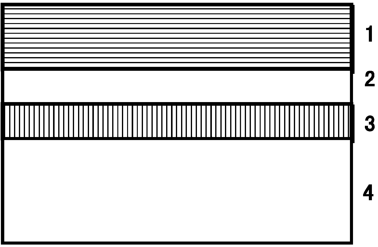 Erasable rewriting phase change optical disk capable of being subjected to fluorescent read