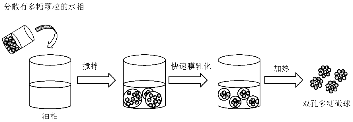 Dual-hole polysaccharide microspheres, preparation method and purpose thereof