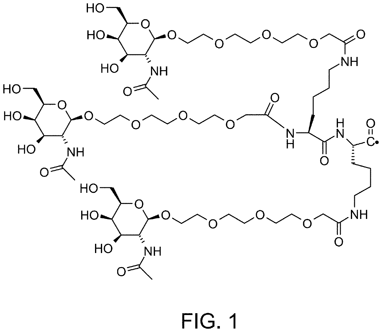 Defined multi-conjugate oligonucleotides