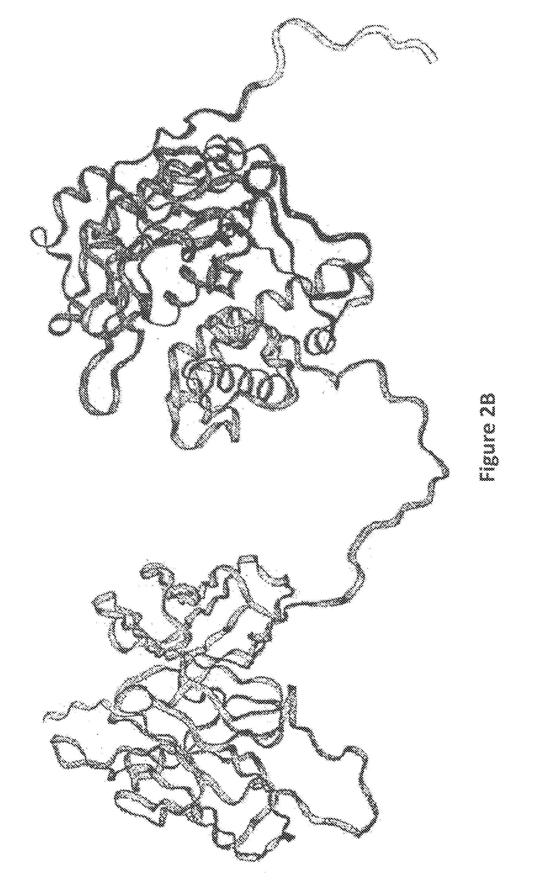 Methods for Treating Cancer Using an Immunotoxin