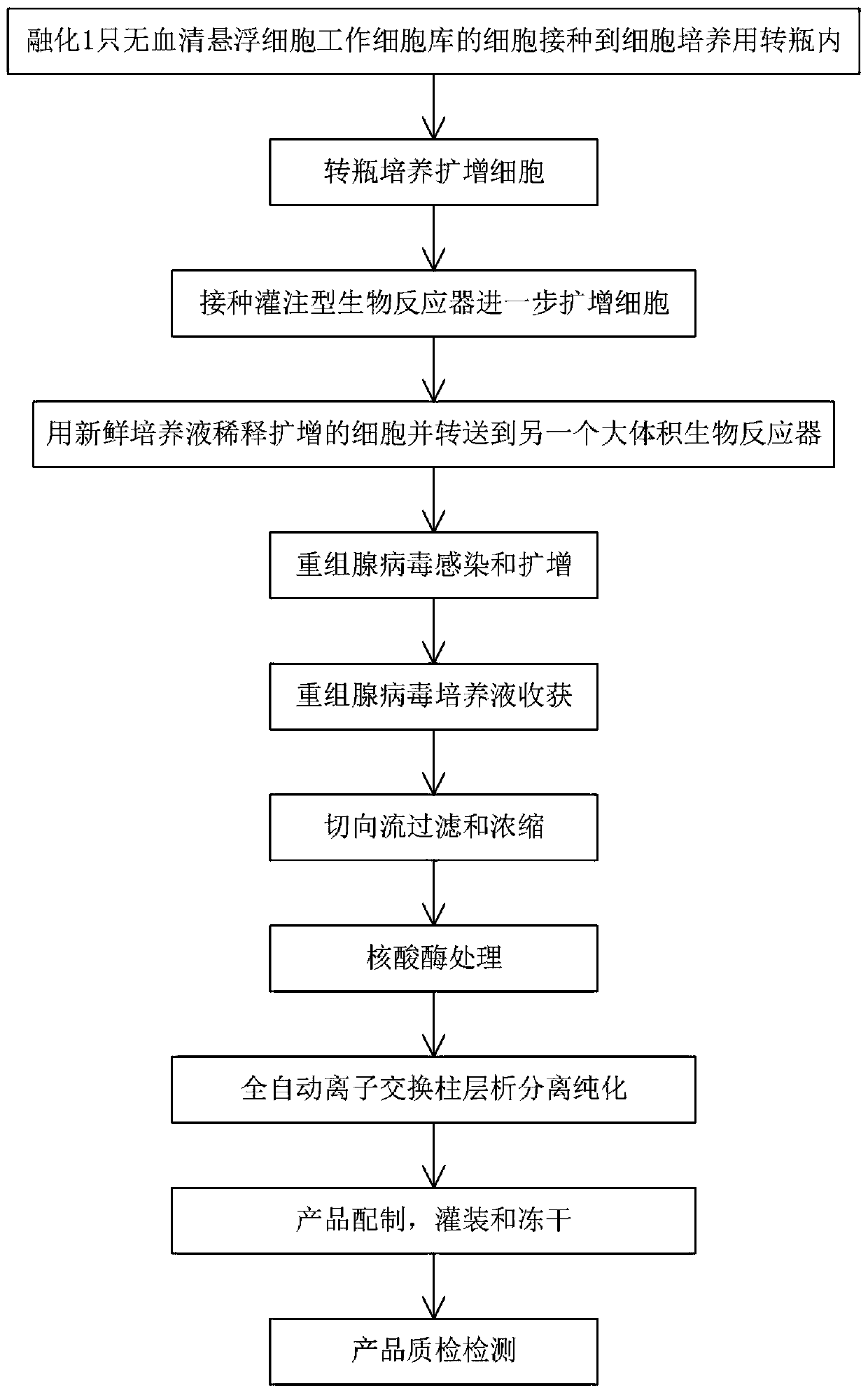 Production method of recombinant adenovirus gene vaccine for preventing novel coronavirus