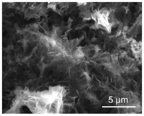 Rechargeable magnesium battery positive electrode material based on polyimide and graphene compounding and preparation method thereof