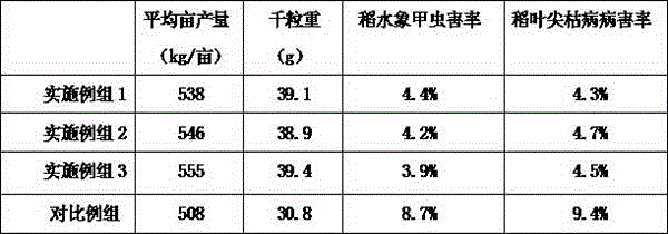 Organic slow-release fertilizer special for rice