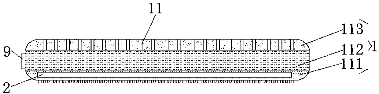 Carpet provided with adsorption bag