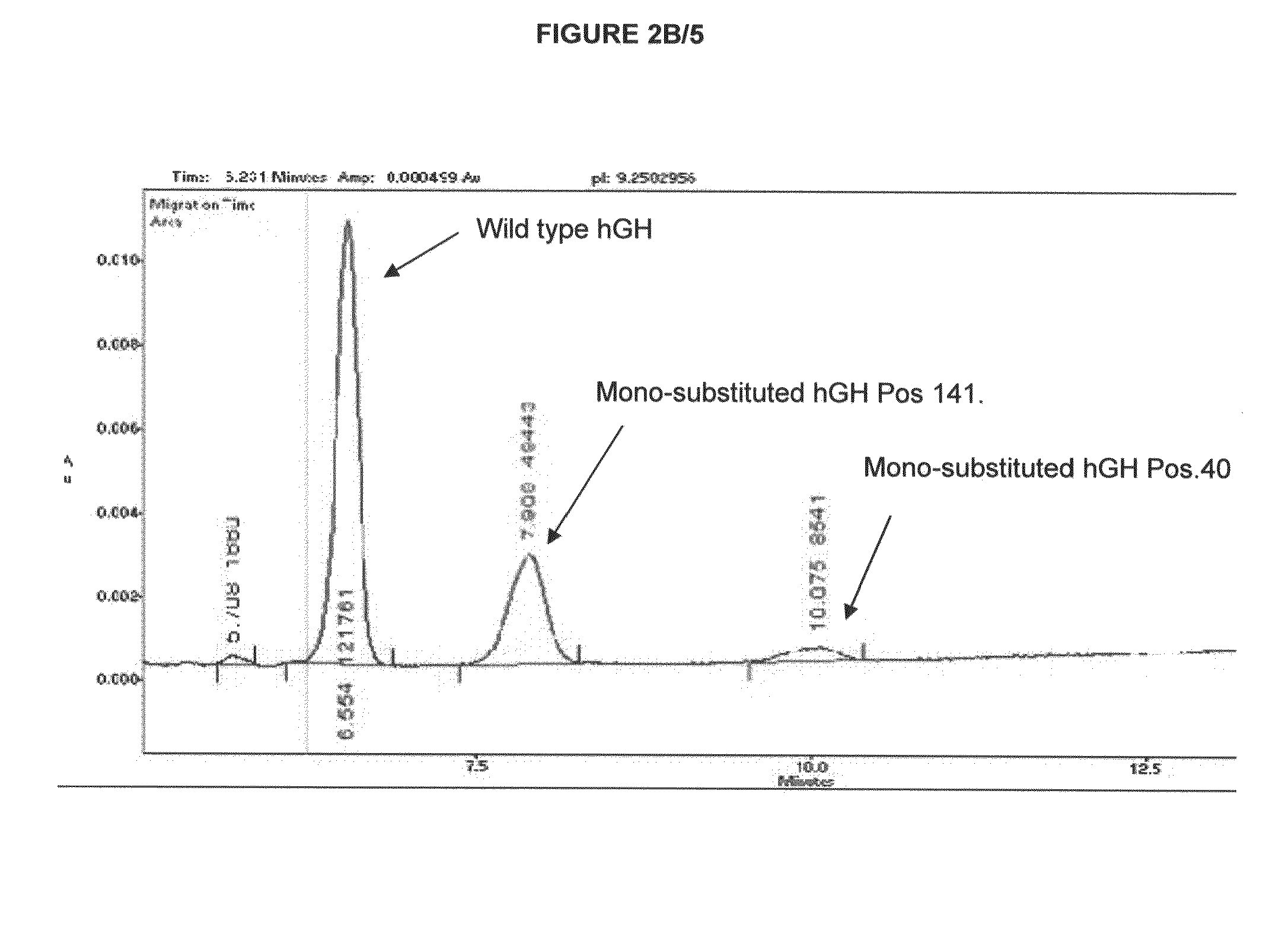 Transglutaminase variants with improved specificity