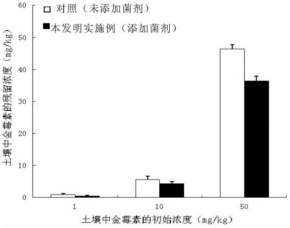 Mycorrhizal fungi inoculant and application of mycorrhizal fungi inoculant in degradation of residual tetracycline antibiotics