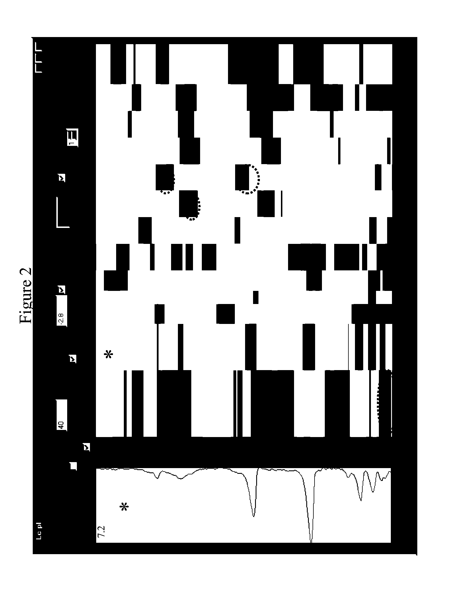 Protein separation and analysis