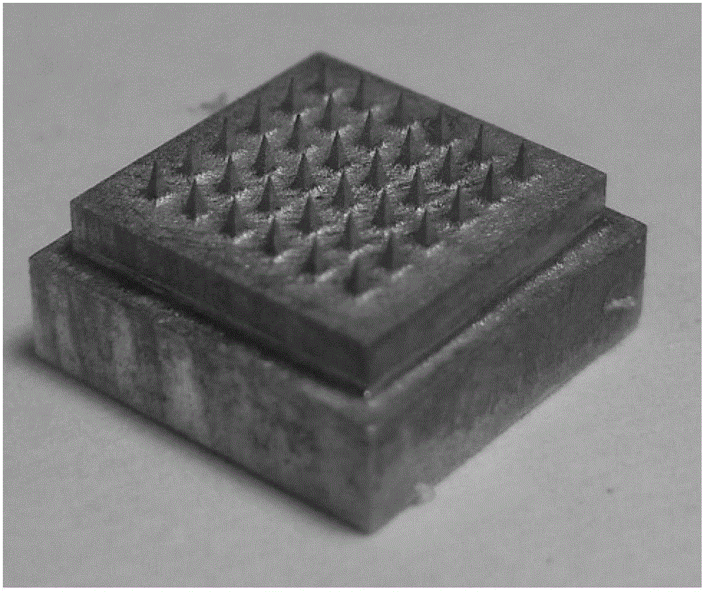 Soluble microneedle vaccine patch and preparation method thereof