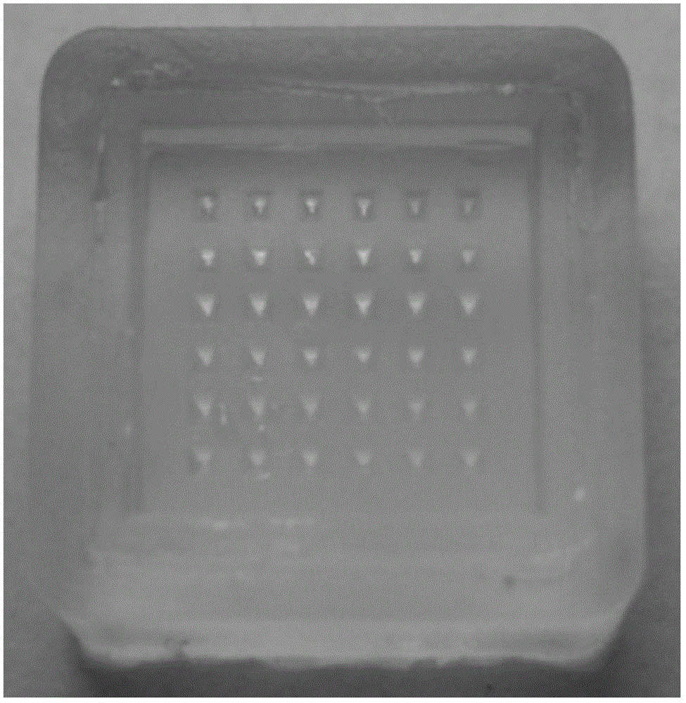 Soluble microneedle vaccine patch and preparation method thereof