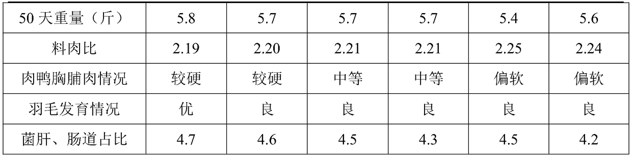 Meat duck compound feed for Diaobai ducks