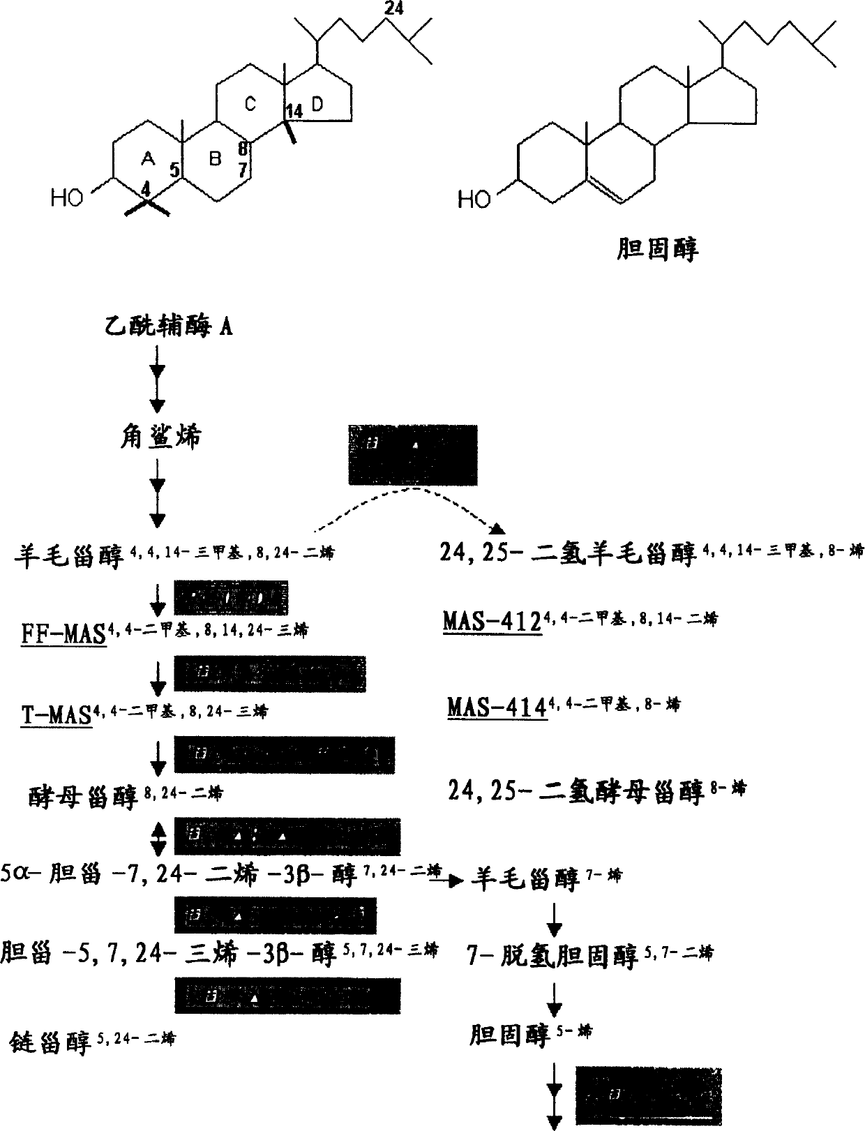 Igamete recruitment and developmental competence in mammals by inhibiting the de novo sterol biosynthesis and/or promoting sterol efflux