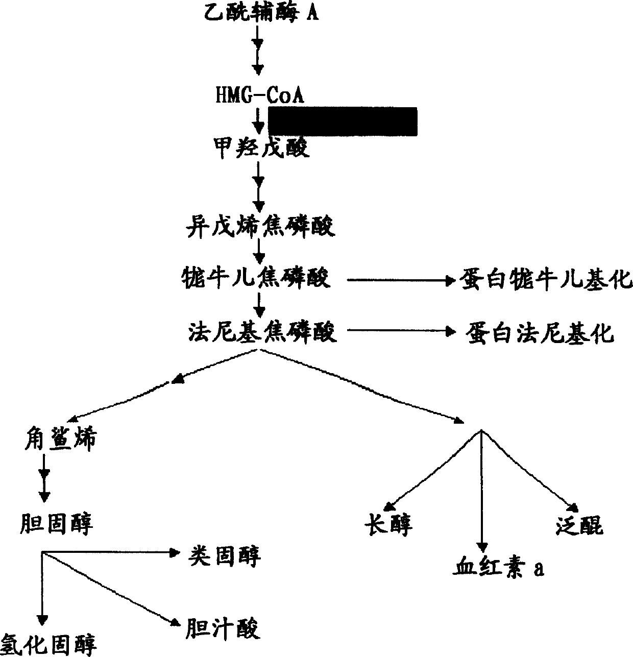 Igamete recruitment and developmental competence in mammals by inhibiting the de novo sterol biosynthesis and/or promoting sterol efflux