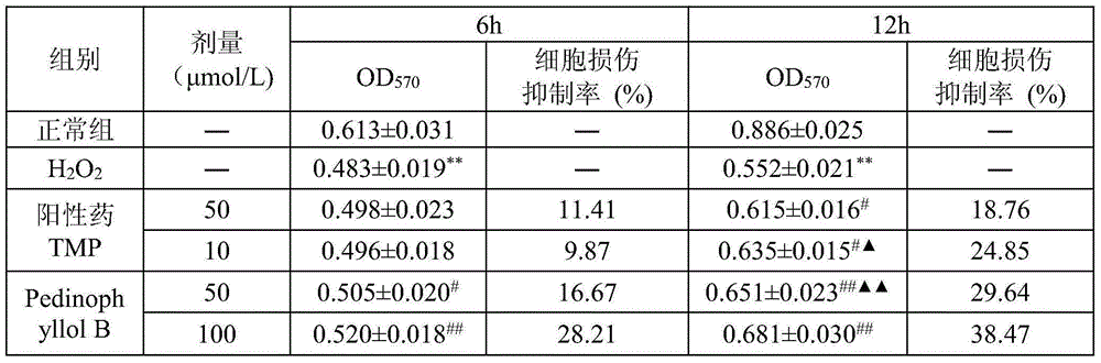 Application of Pedinophyllol B in preparation of vascular protective drug