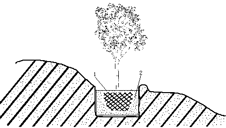 Method for planting trees in desert environment