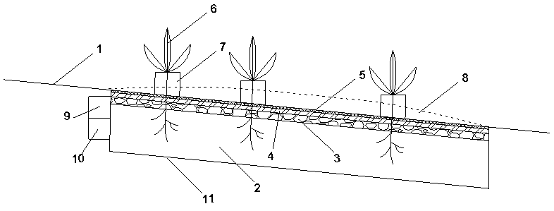 Arid region ecological remediation control system and control method based on 5G network