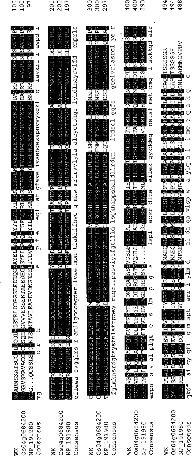 Plant stress tolerance related protein TaTPRPK1, encoding gene thereof, and application thereof