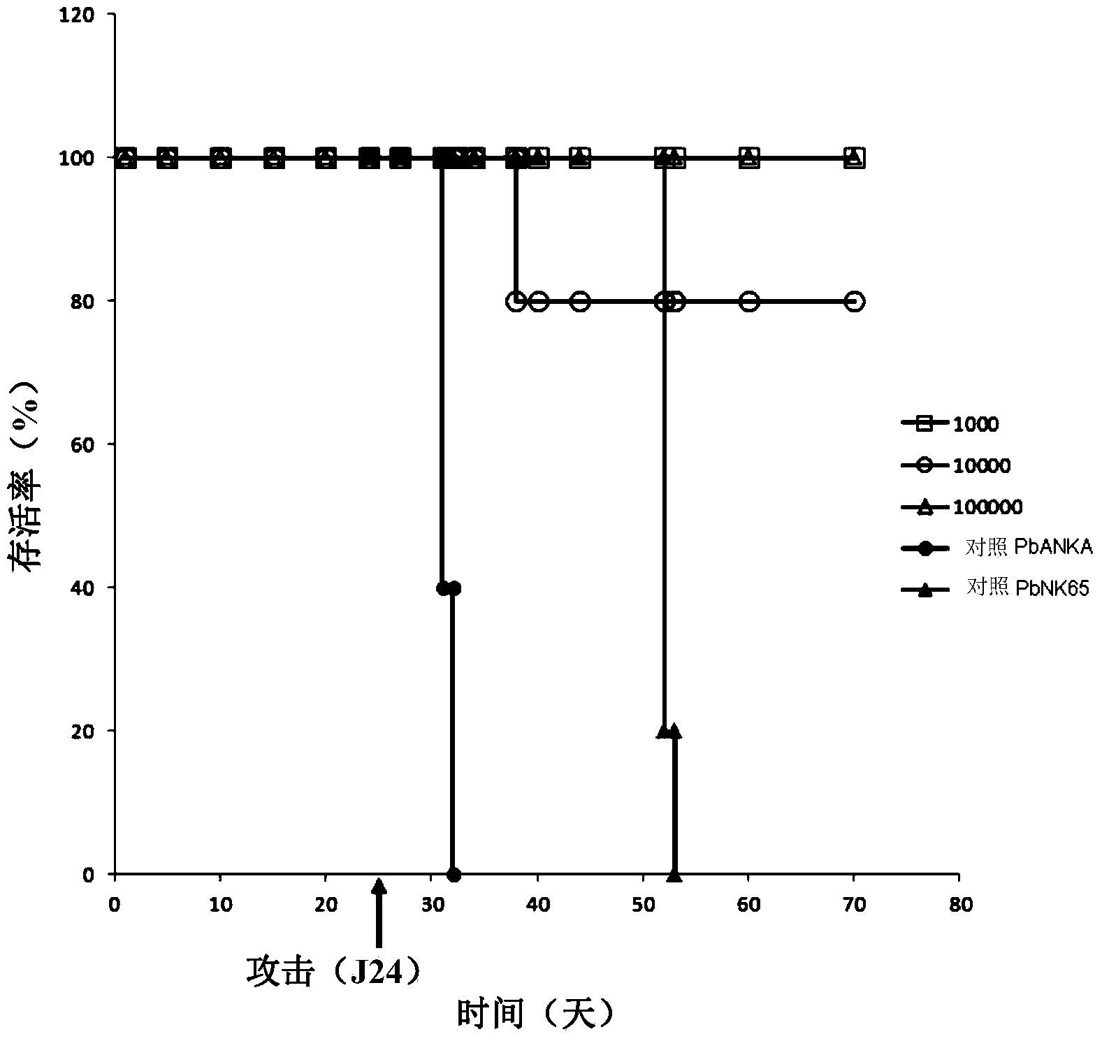 Attenuated plasmodium with deactivated HMGB2 gene, as vaccine