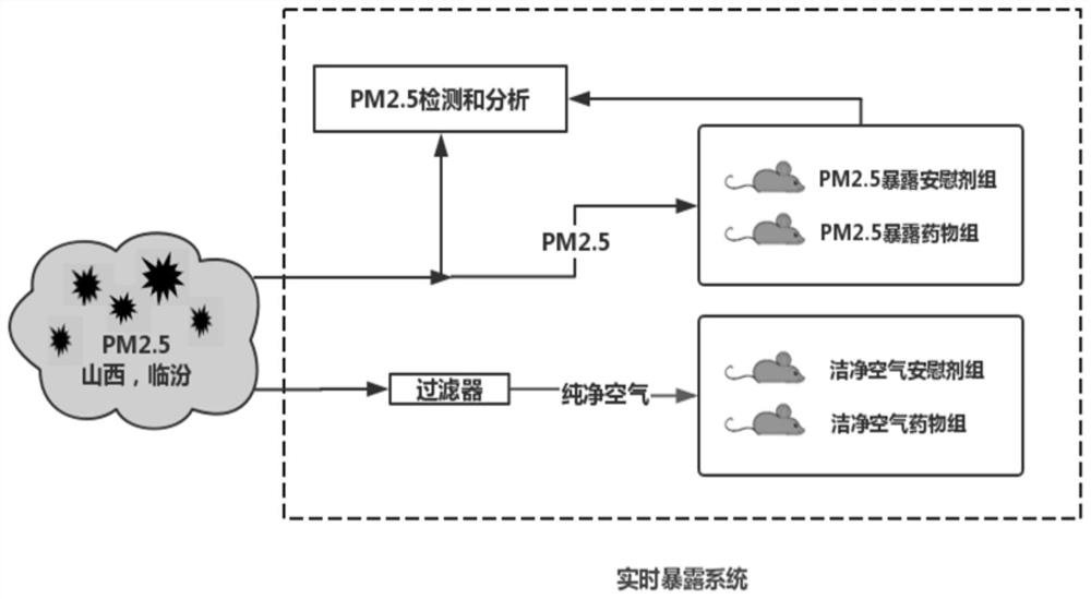 Combined medicine for preventing and/or repairing heart injuries caused by atmospheric pollution