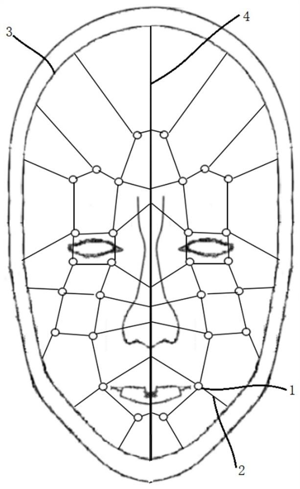 Use method of head-mounted expression capture device based on facial muscle characteristics and enhancement method of expression data packet