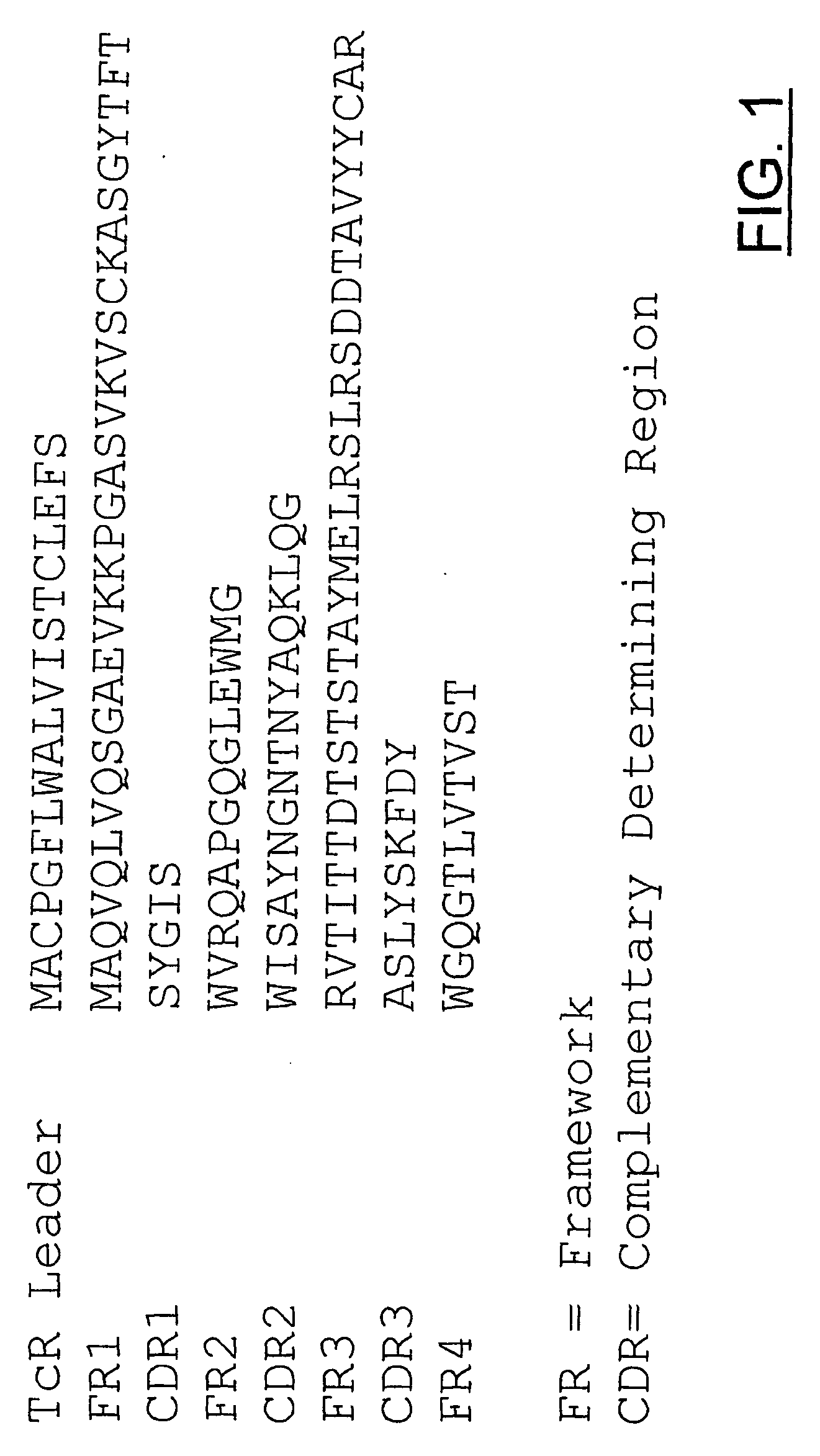 Antigen presenting cell targeting conjugate, an antigen presenting cell contacted with such conjugate, their use for vaccination or as medicament, and methods for their production or generation