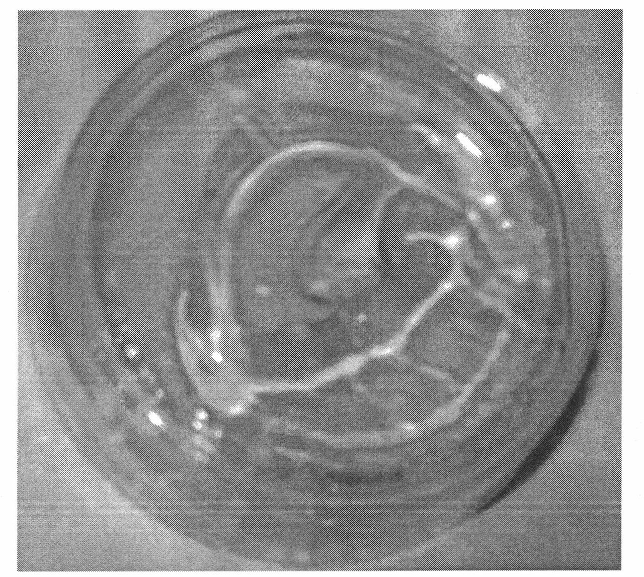 Tissue engineering cell piece and preparation method thereof