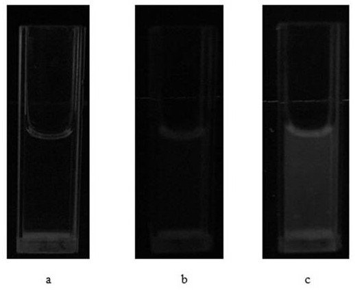 A kind of carbon nitride quantum dot and its preparation method and application